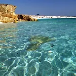 Near The Sea *