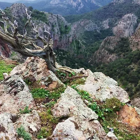 Near The Sea Dom wakacyjny *