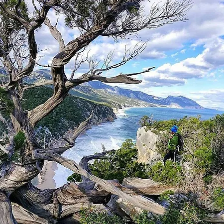 Near The Sea
