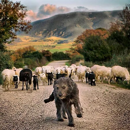 Near The Sea Dom wakacyjny