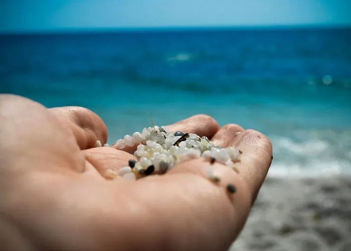 Near The Sea
