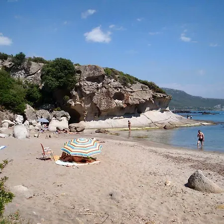 Near The Sea *