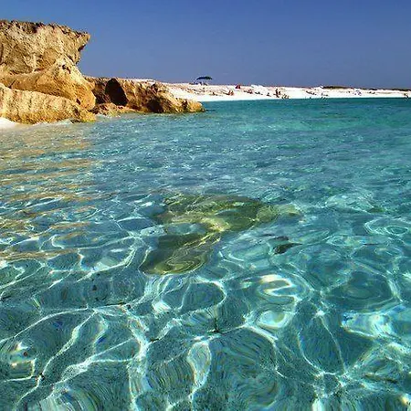 Near The Sea *