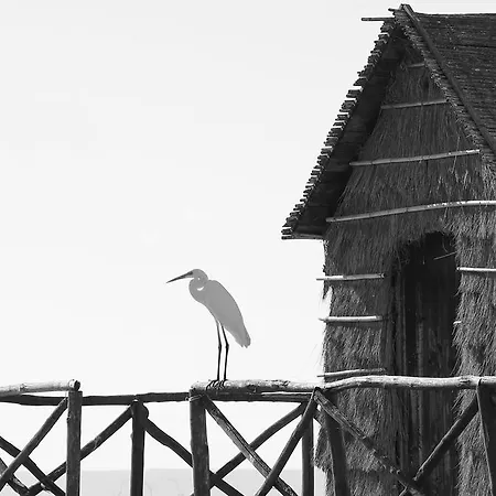 Near The Sea