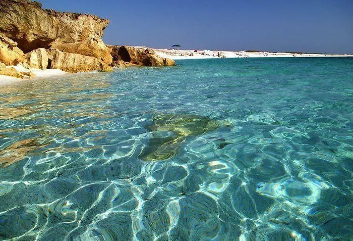 Near The Sea *